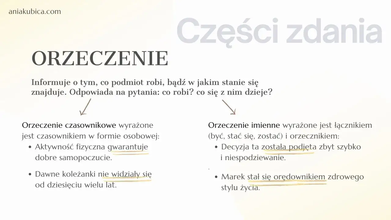 Orzeczenie w zdaniu informuje o czynności lub stanie podmiotu. Przykłady: